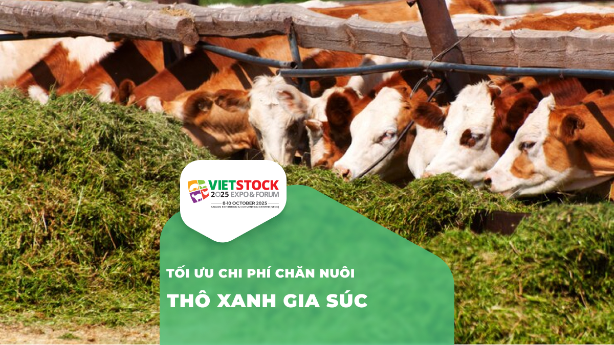 Tối ưu hóa sử dụng thức ăn thô xanh trong chăn nuôi gia súc: Hướng dẫn chi tiết
