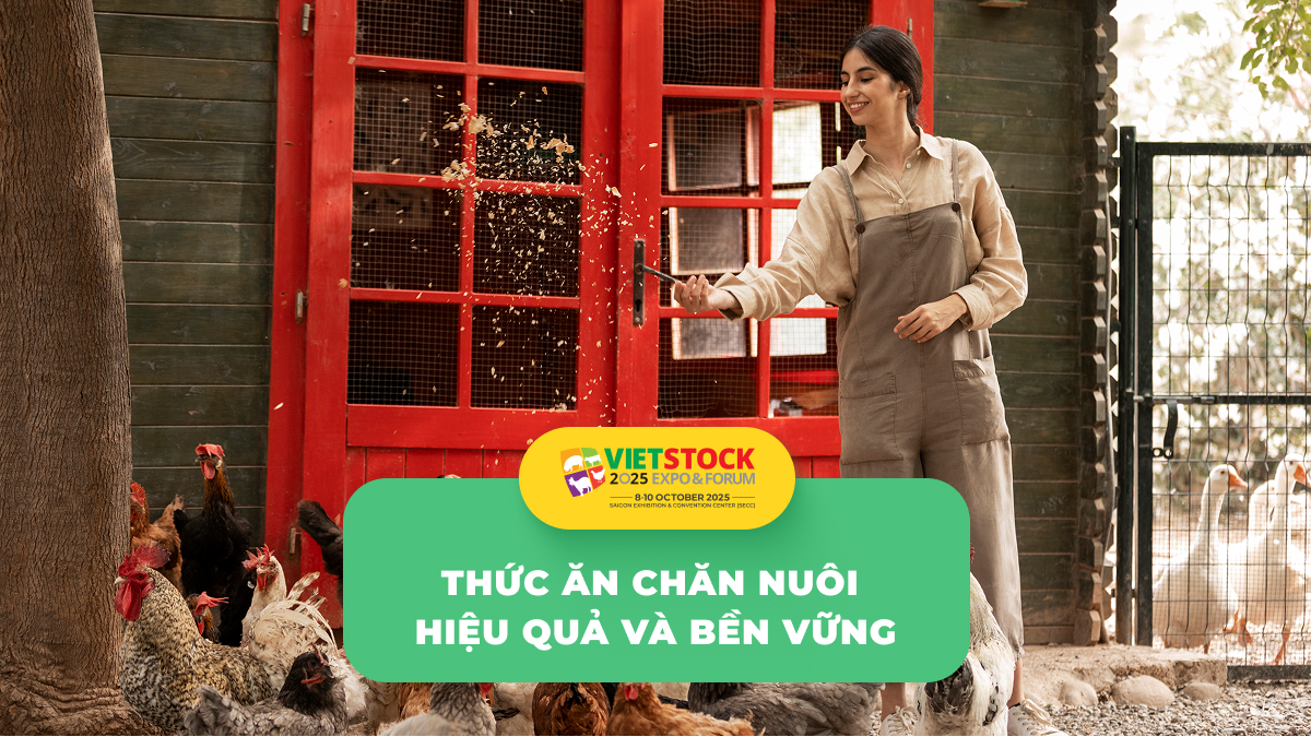 Thức ăn chă nuôi hiệu quả và bền vững - thức ăn chăn nuôi