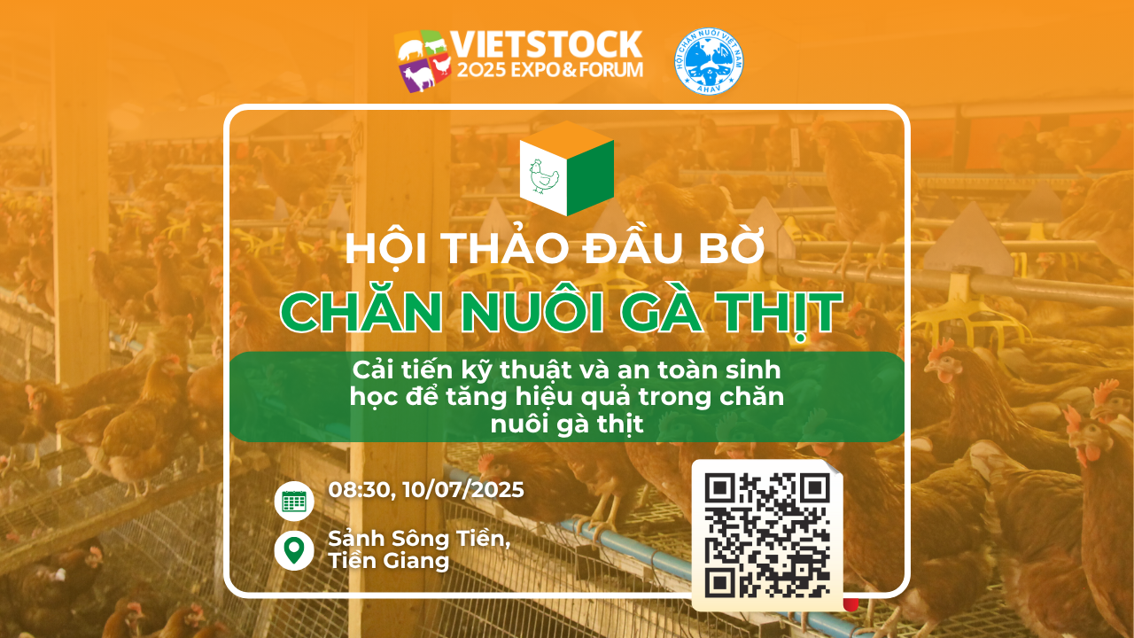 HỘI THẢO CHUYÊN NGÀNH CHĂN NUÔI GÀ THỊT TẠI TIỀN GIANG