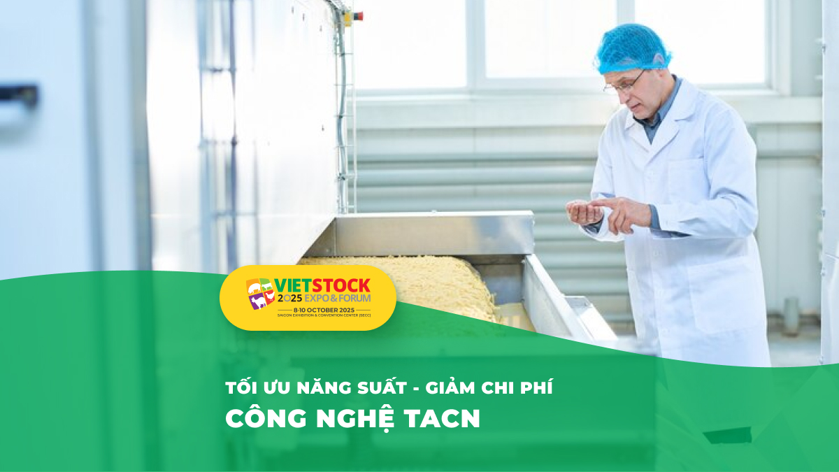 Công nghệ sản xuất thức ăn chăn nuôi hiện đại: Từ quy mô nhỏ đến công nghiệp