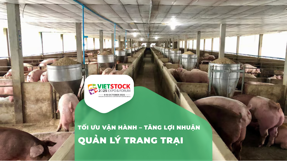 Quản lý trang trại chăn nuôi khoa học – Tối ưu lợi nhuận