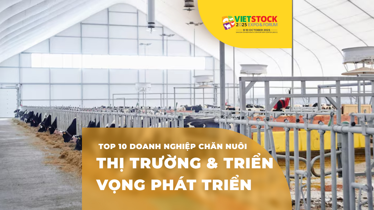 Top 10 doanh nghiệp chăn nuôi hàng đầu Việt Nam năm 2025