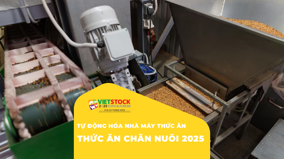 Xu hướng tự động hóa trong nhà máy sản xuất thức ăn chăn nuôi hiện đại