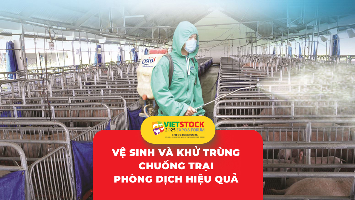 Quy trình vệ sinh và khử trùng chuồng trại: Kiểm soát mầm bệnh hiệu quả