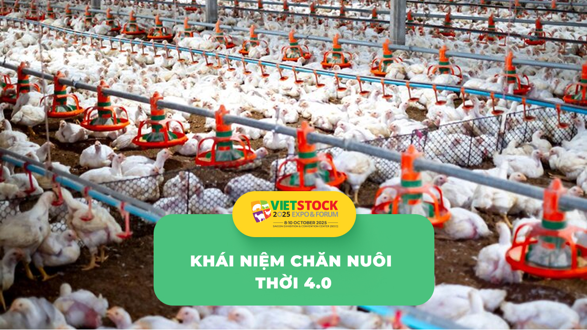 Khái niệm chăn nuôi hiện đại – Từ truyền thống đến công nghệ cao