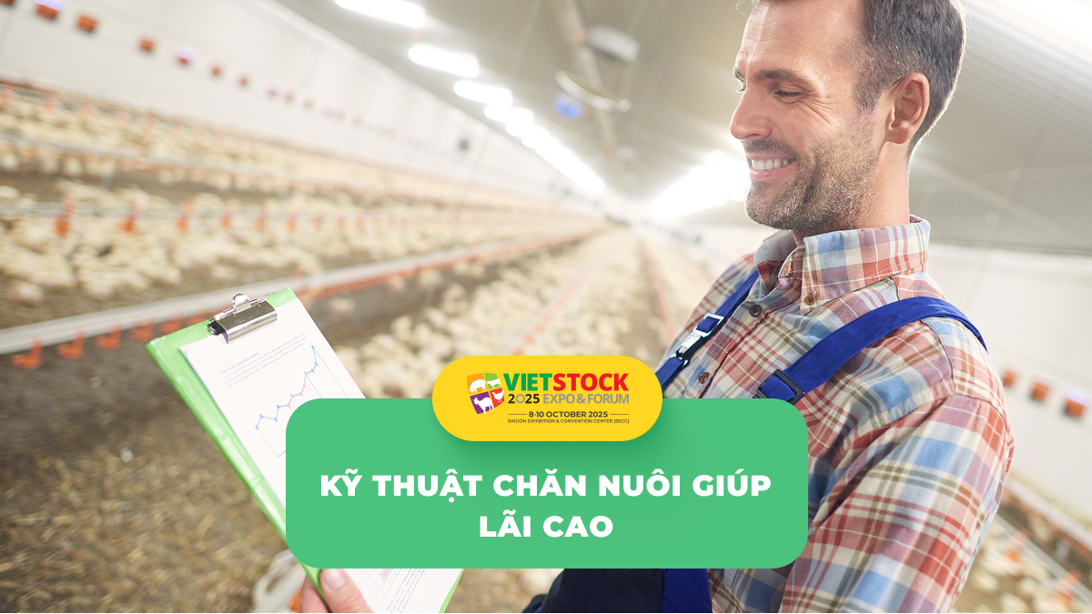 10 kinh nghiệm chăn nuôi quý báu từ chuyên gia hàng đầu