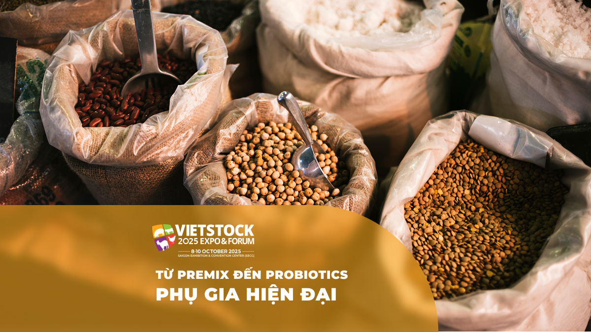Vai trò của phụ gia trong thức ăn chăn nuôi hiện đại: Từ premix đến probiotics