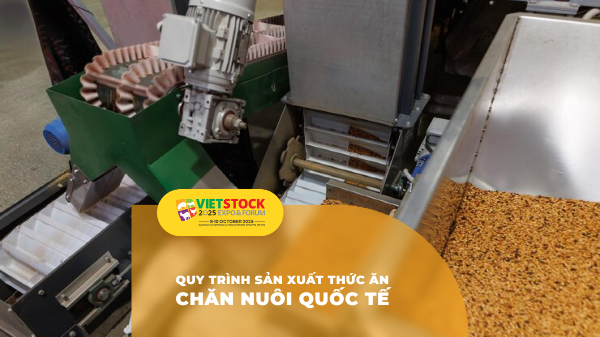 Quy trình sản xuất thức ăn chăn nuôi đảm bảo chất lượng theo tiêu chuẩn quốc tế