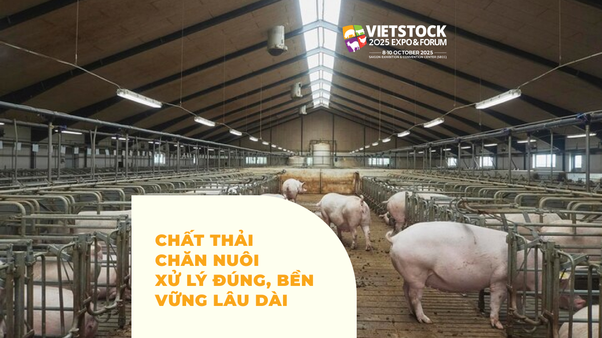 CHẤT THẢI CHĂN NUÔI XỬ LÝ ĐÚNG, BỀN VỮNG LÂU DÀI