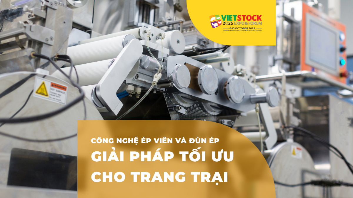 Công nghệ ép viên và đùn ép trong sản xuất thức ăn chăn nuôi: So sánh và ứng dụng