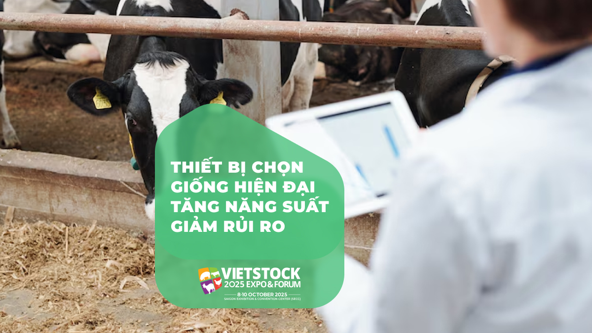 THIẾT BỊ CHỌN GIỐNG HIỆN ĐẠI TĂNG NĂNG SUẤT GIẢM RỦI RO