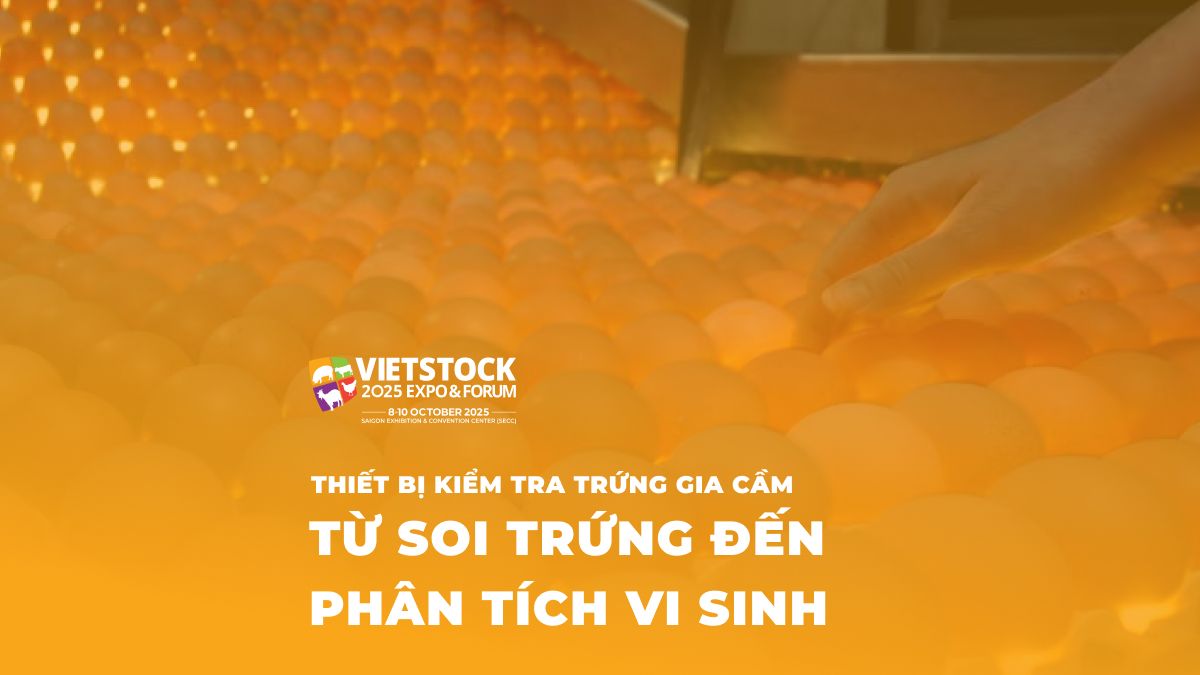 THIẾT BỊ KIỂM TRA TRỨNG GIA CẦM TỪ SOI TRỨNG ĐẾN PHÂN TÍCH VI SINH