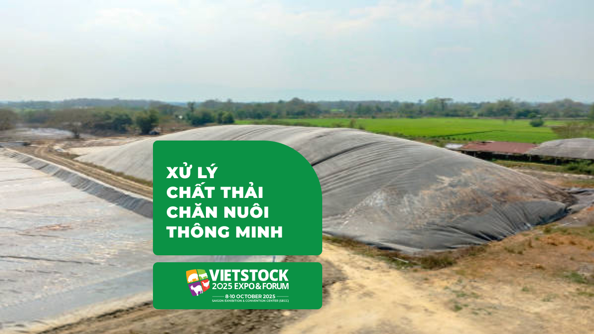 Công nghệ xử lý chất thải chăn nuôi hiện đại và thân thiện môi trường