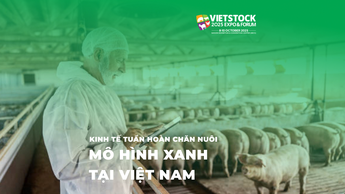 Kinh tế tuần hoàn trong chăn nuôi_ Mô hình và ứng dụng tại Việt Nam