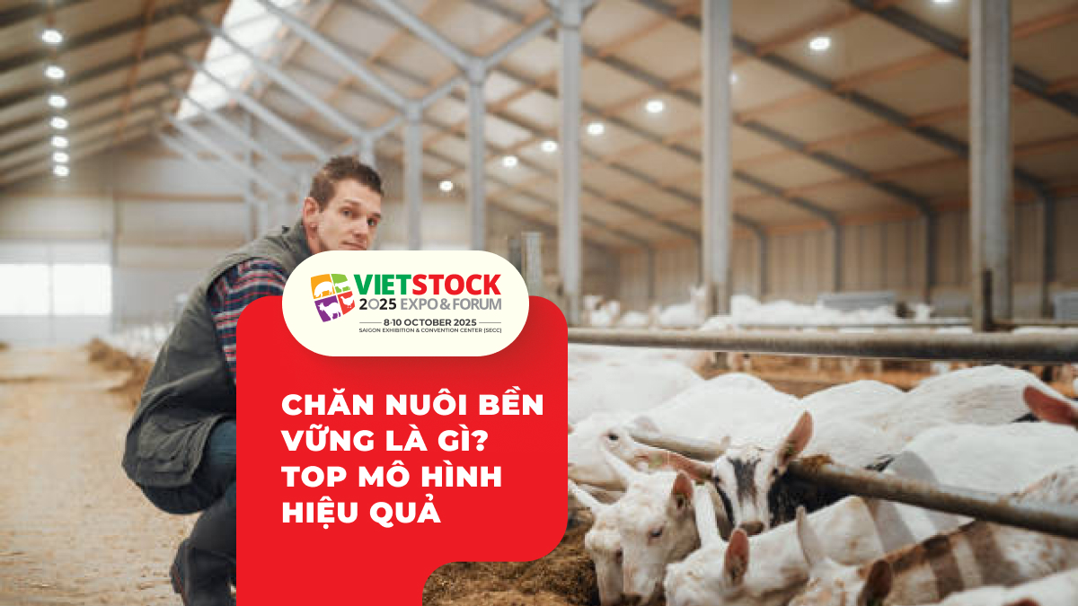 Mô hình chăn nuôi bền vững cho Việt Nam_ Phân tích và giải pháp 2025