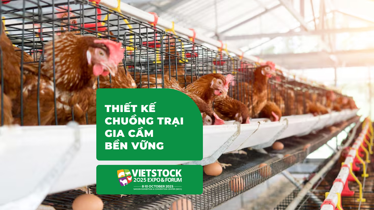 Tiêu Chuẩn Thiết Kế Chuồng Trại Gia Cầm Hiện Đại 2025_ Hướng Dẫn Toàn Diện Từ Kỹ Thuật Đến Thân Thiện Môi Trường