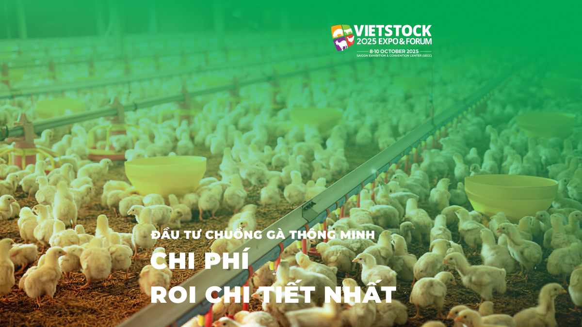 10 mẫu chuồng gà hiện đại đạt tiêu chuẩn quốc tế năm 2025