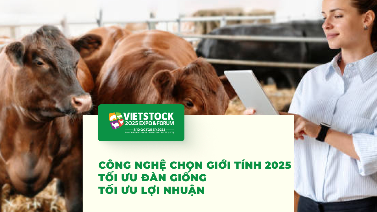 Công nghệ chọn lọc giới tính trong chăn nuôi_ Hiệu quả và chi phí