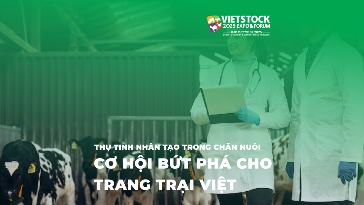 Công nghệ thụ tinh nhân tạo tiên tiến trong chăn nuôi tại Việt Nam 2025