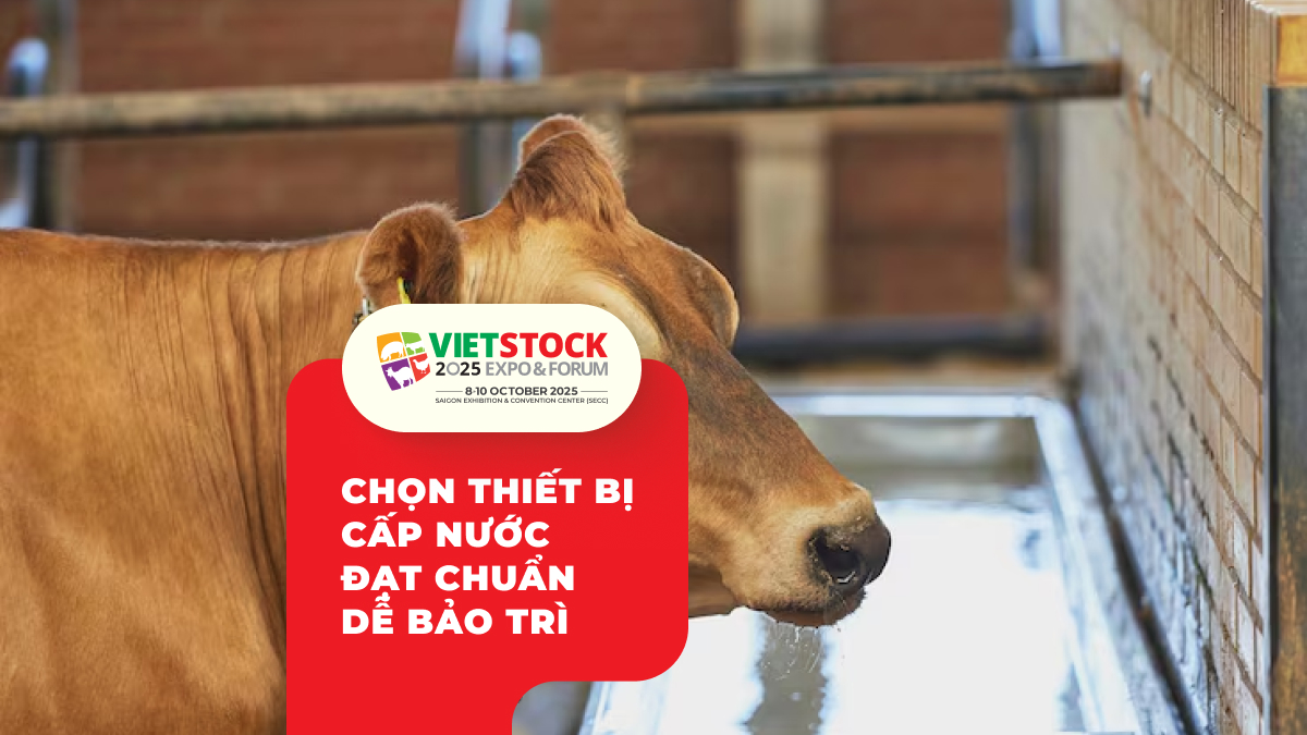 Hệ thống cấp nước trong chăn nuôi hiện đại_ Tiêu chuẩn và lựa chọn