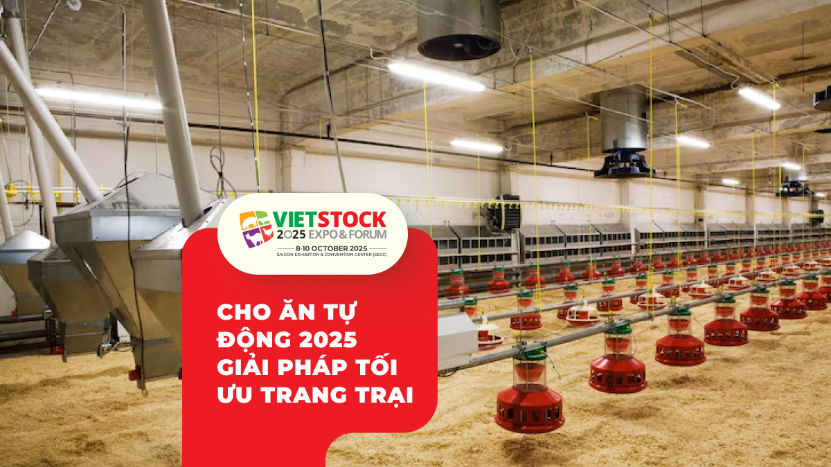 Hệ thống cho ăn tự động trong chăn nuôi_ Công nghệ và hiệu quả 2025
