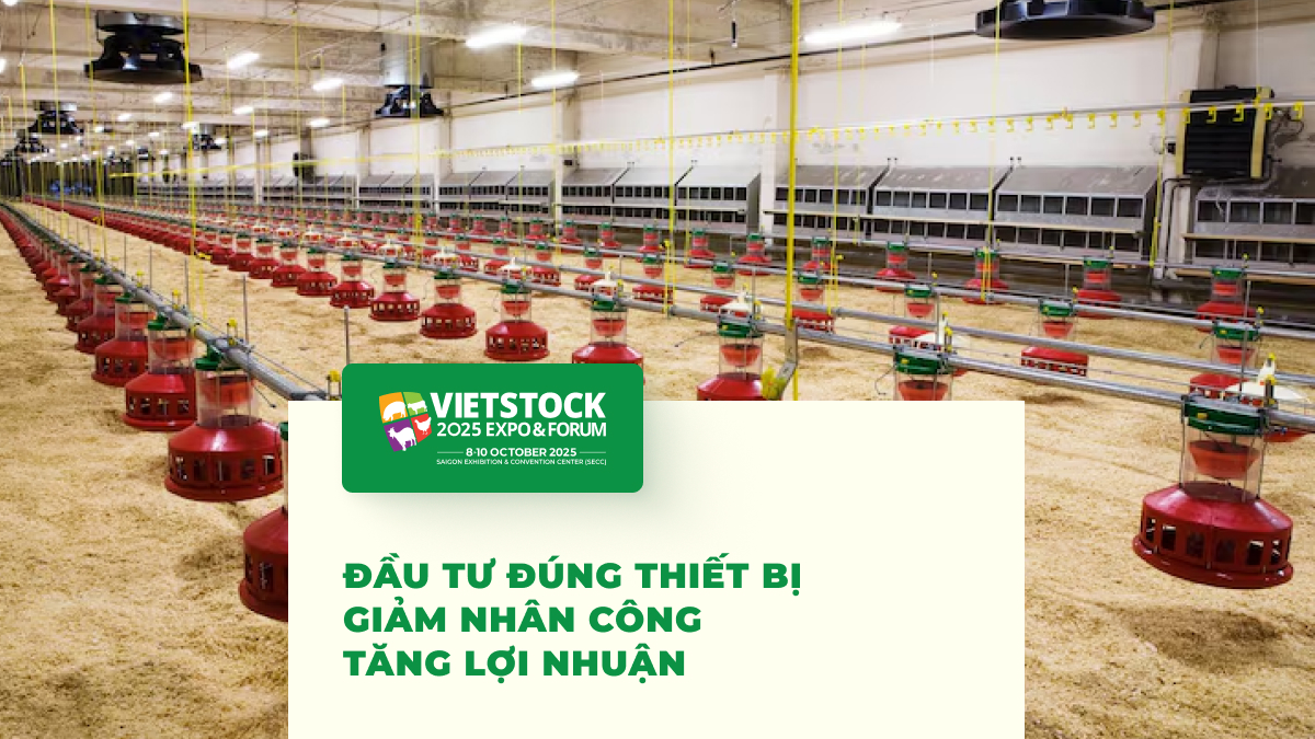 Top 15 thiết bị chăn nuôi cần thiết nhất cho trang trại hiện đại 2025
