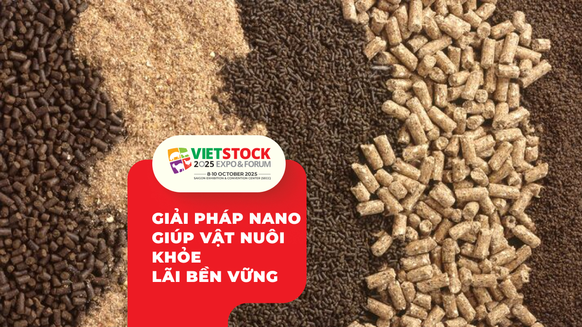 Ứng dụng công nghệ nano trong thức ăn chăn nuôi_ Xu hướng mới 2025