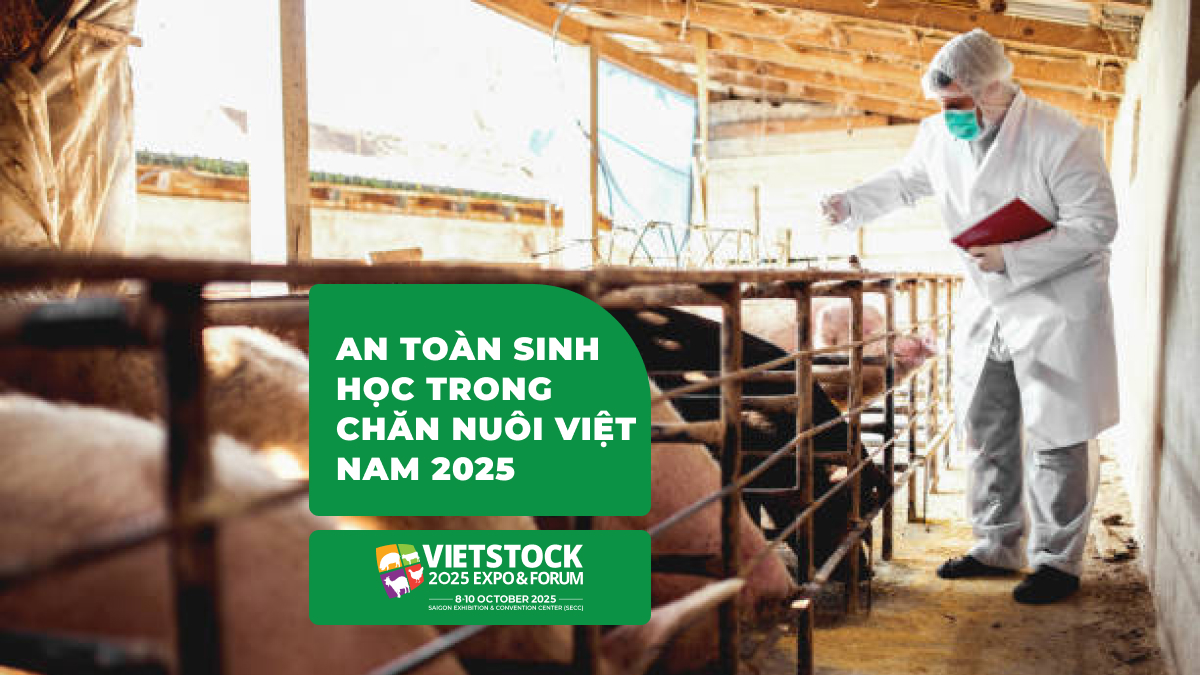 An Toàn Sinh Học Trong Chăn Nuôi Việt Nam 2025