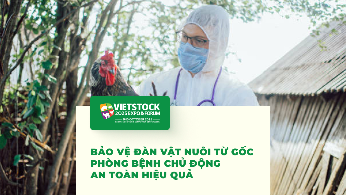 Bảo Vệ Đàn Vật Nuôi Từ Gốc - Phòng Bệnh Chủ Động - An Toàn Hiệu Quả
