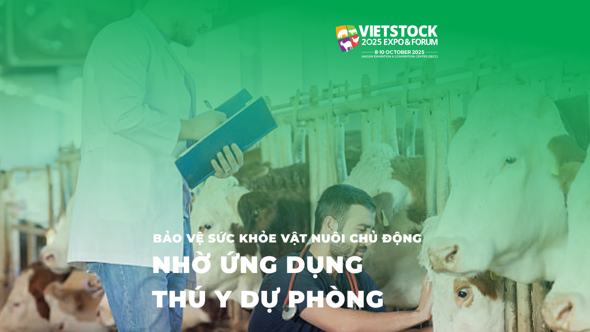 Bảo Vệ Sức Khỏe Vật Nuôi Chủ Động Nhờ Ứng Dụng Thú Y Dự Phòng