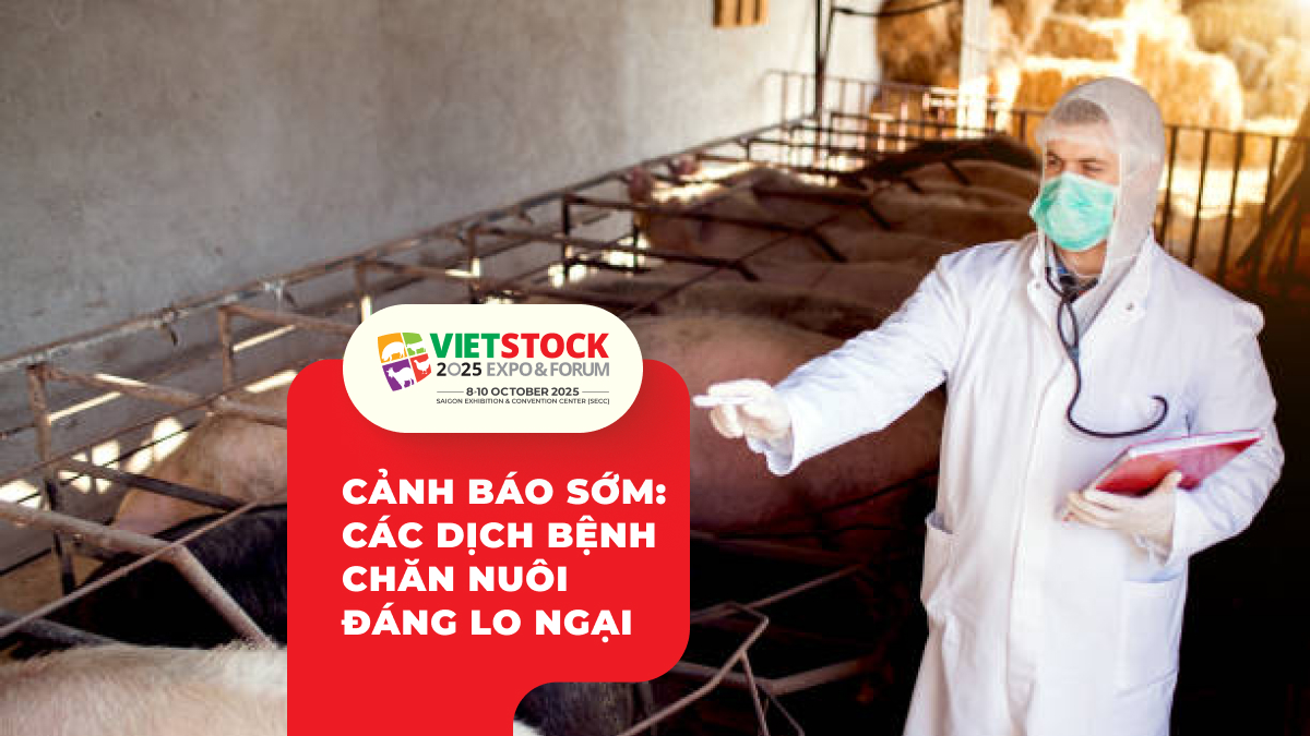 Cảnh Báo Sớm_ Các Dịch Bệnh Chăn Nuôi Đáng Lo Ngại