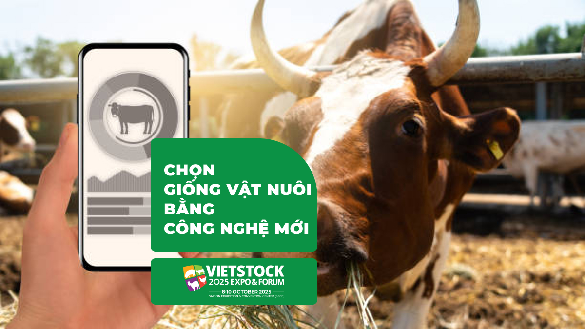 Chọn Giống Vật Nuôi Bằng Công Nghệ Mới