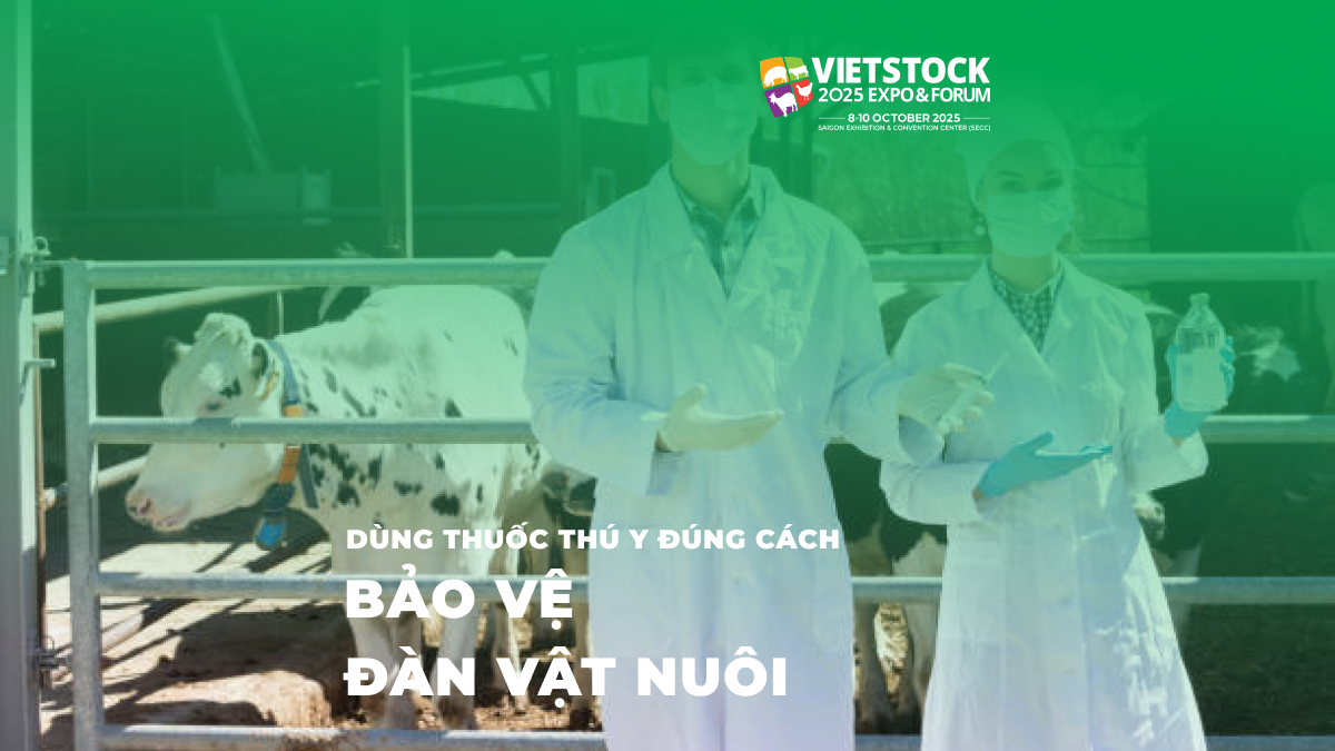 Dùng Thuốc Thú Y Đúng Cách Bảo Vệ Đàn Vật Nuôi