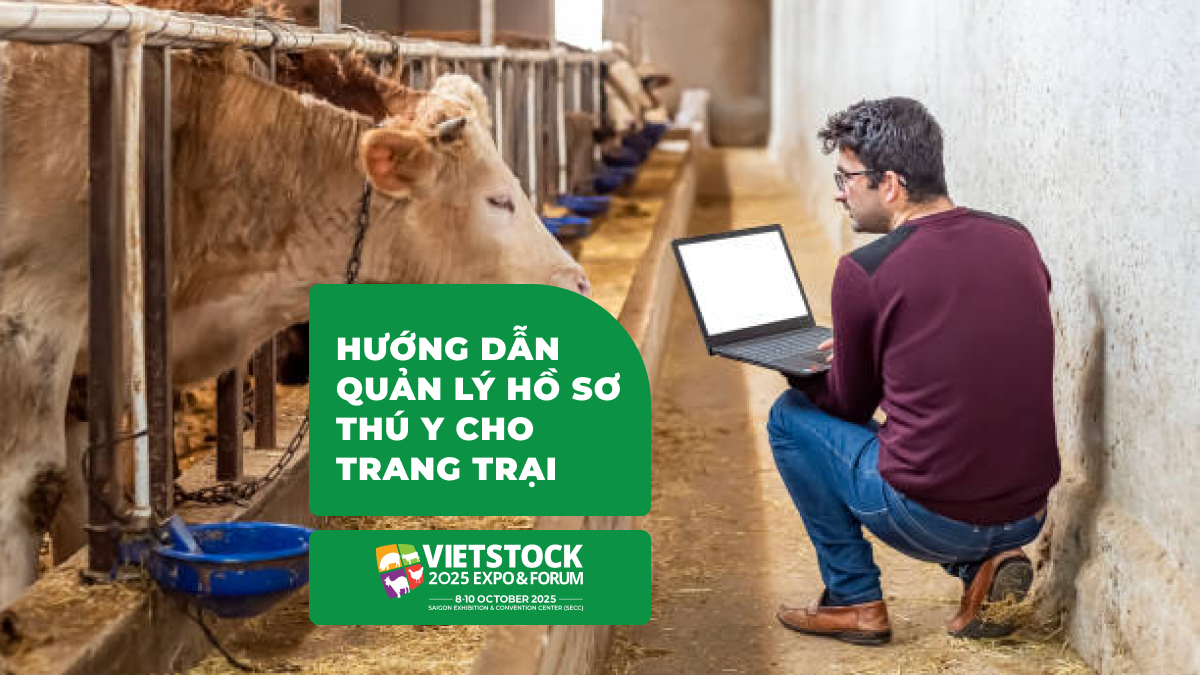 Hướng dẫn xây dựng hệ thống quản lý hồ sơ thú y cho trang trại 2025