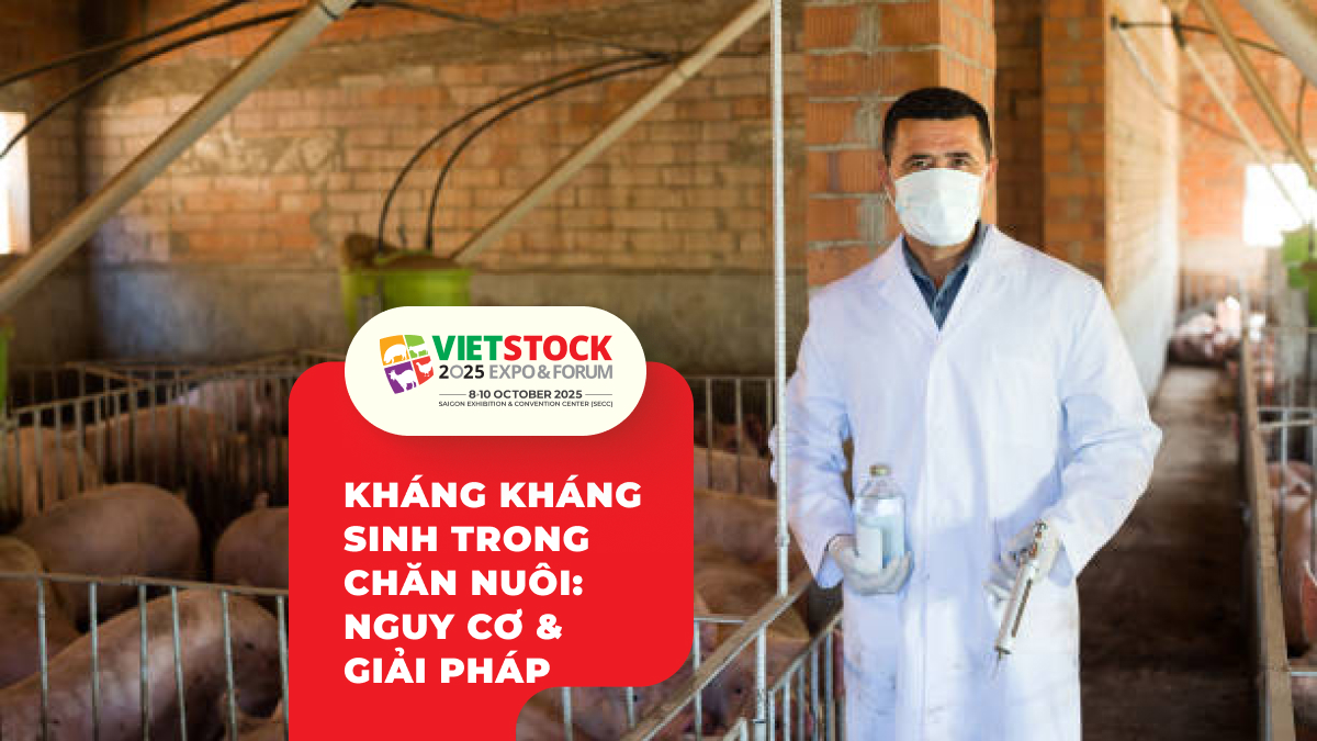 Kháng Kháng Sinh Trong Chăn Nuôi_ Nguy Cơ & Giải Pháp