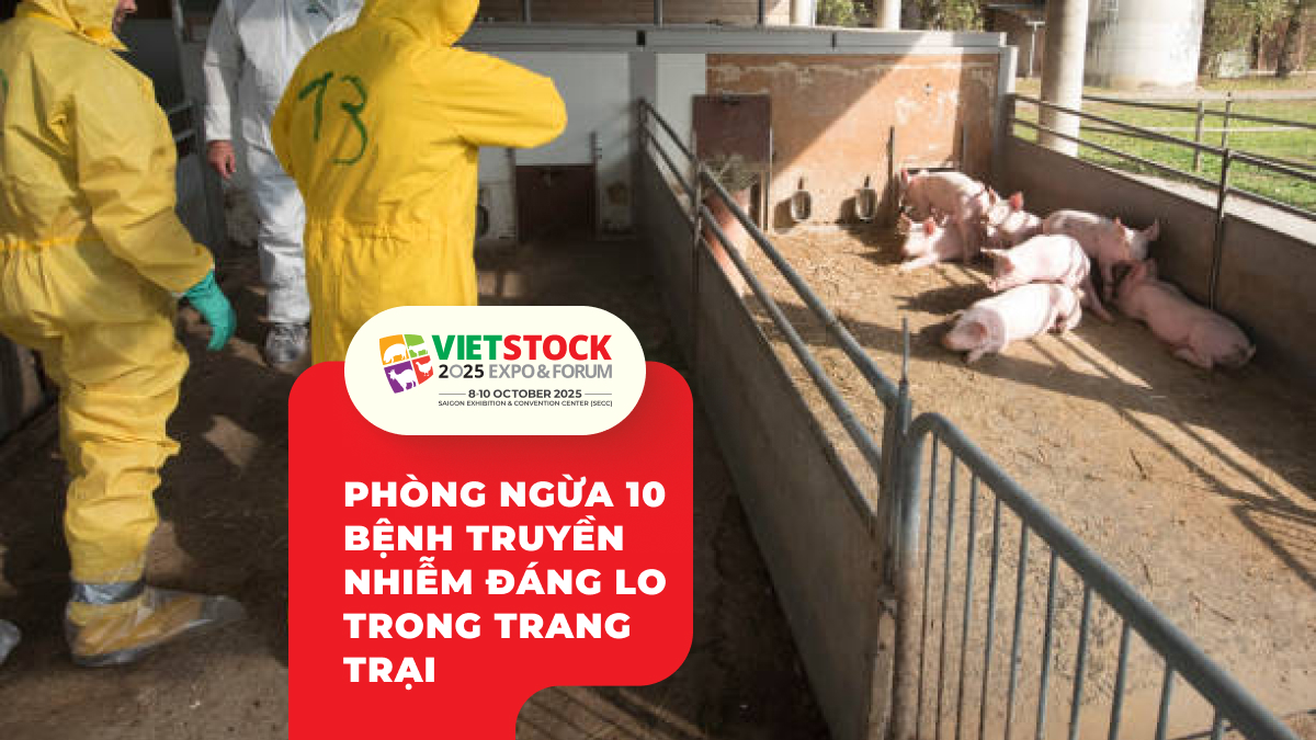 Phòng Ngừa 10 Bệnh Truyền Nhiễm Đáng Lo Trong Trang Trại