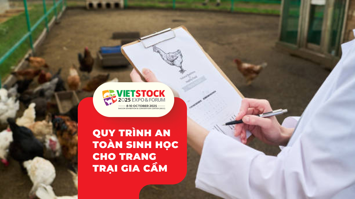 Quy Trình An Toàn Sinh Học Cho Trang Trại Gia Cầm