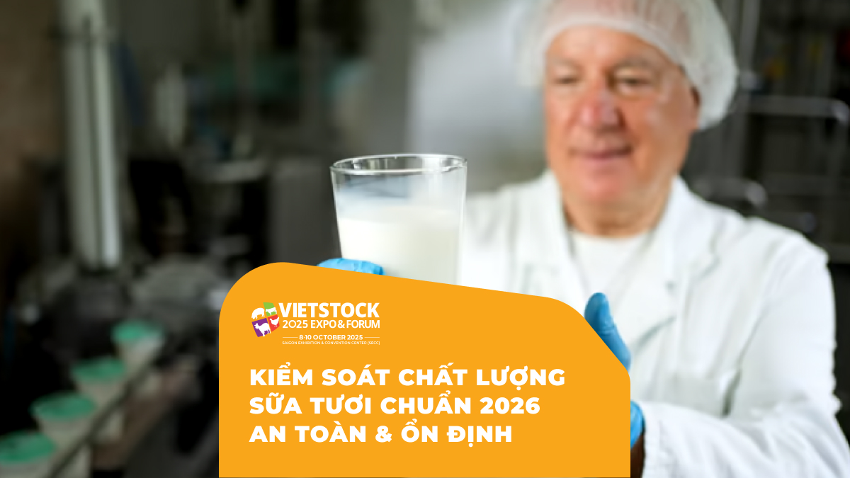 Kiểm Soát Chất Lượng Sữa Tươi Chuẩn 2026 An Toàn & Ổn Định