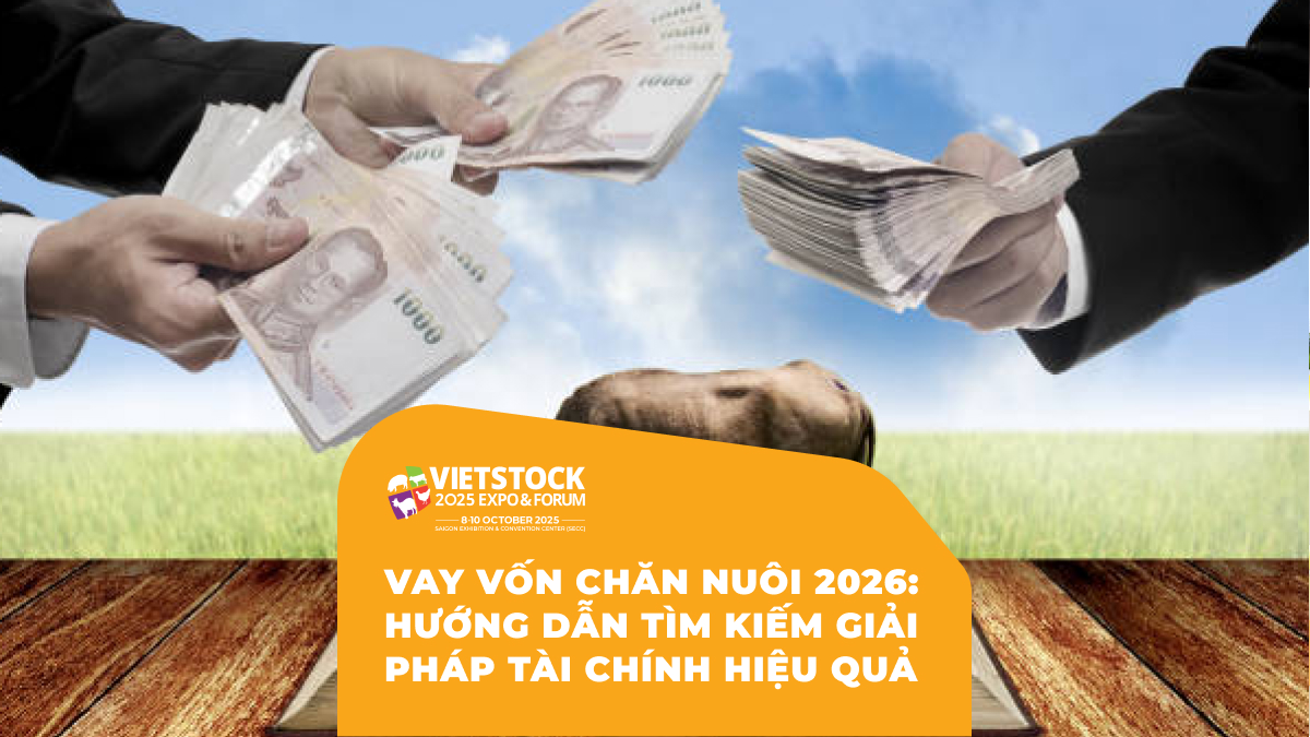 Vay Vốn Chăn Nuôi 2026_ Hướng Dẫn Tìm Kiếm Giải Pháp Tài Chính Hiệu Quả