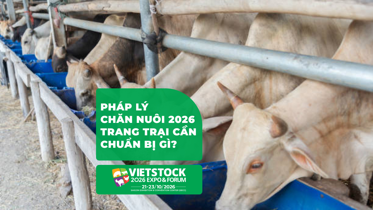 Pháp Lý Chăn Nuôi 2026: 10 Điểm Trang Trại Cần Theo Dõi