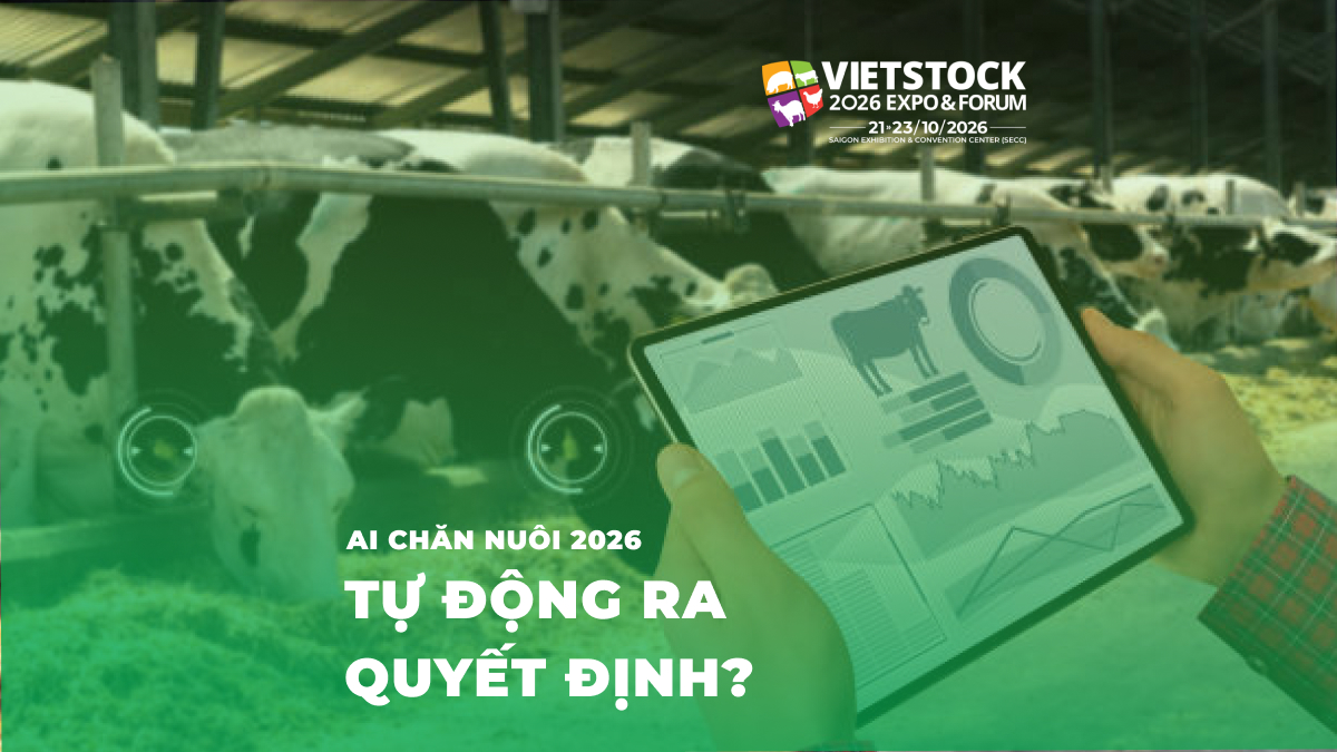 AI Chăn nuôi 2026: Từ Giám sát Thụ động Đến Ra quyết định Tự động Hoàn toàn