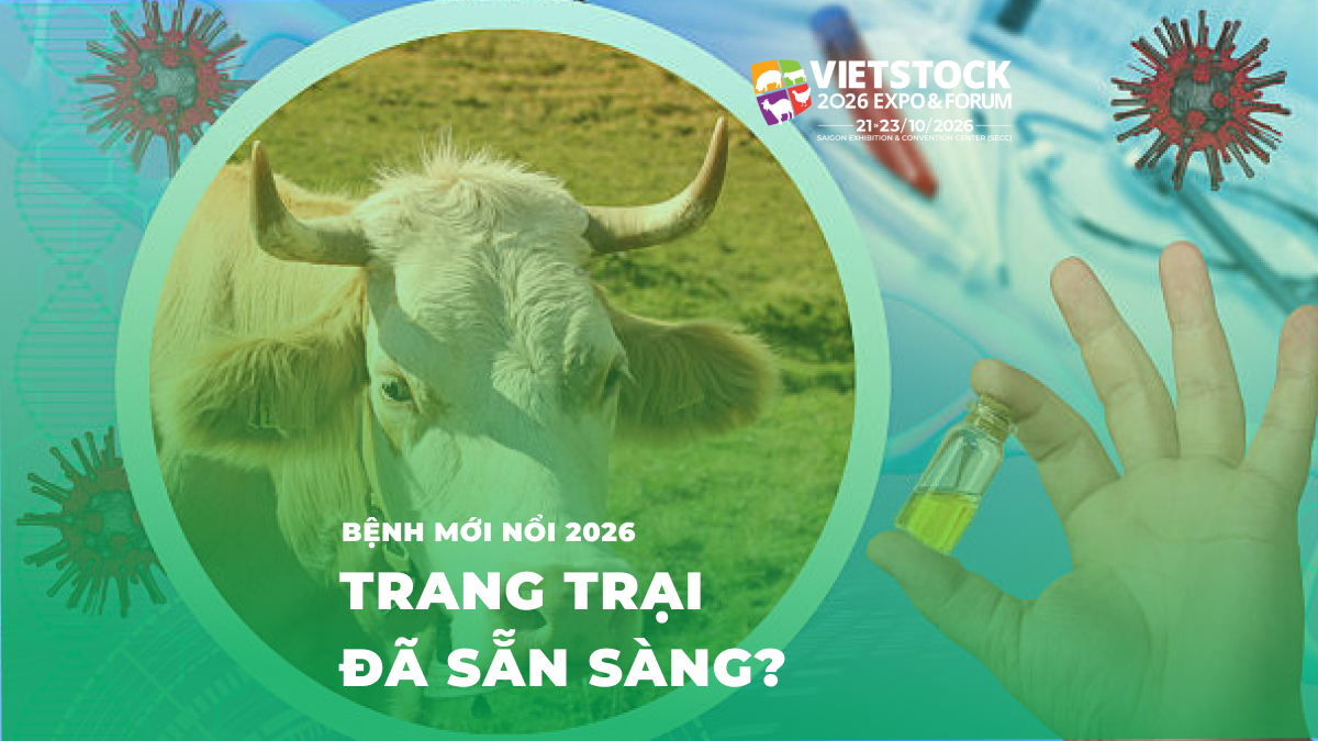 Bệnh mới nổi trong chăn nuôi: Nhận biết và phản ứng sớm