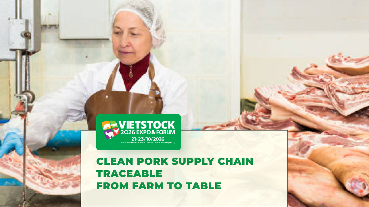 Antibiotic-Free Pork Chain: From Farm to Supermarket