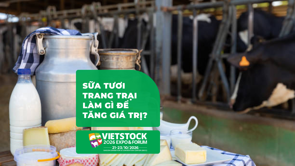 Chế Biến Sữa Tại Trang Trại: Phô Mai, Bơ & Sữa Chua