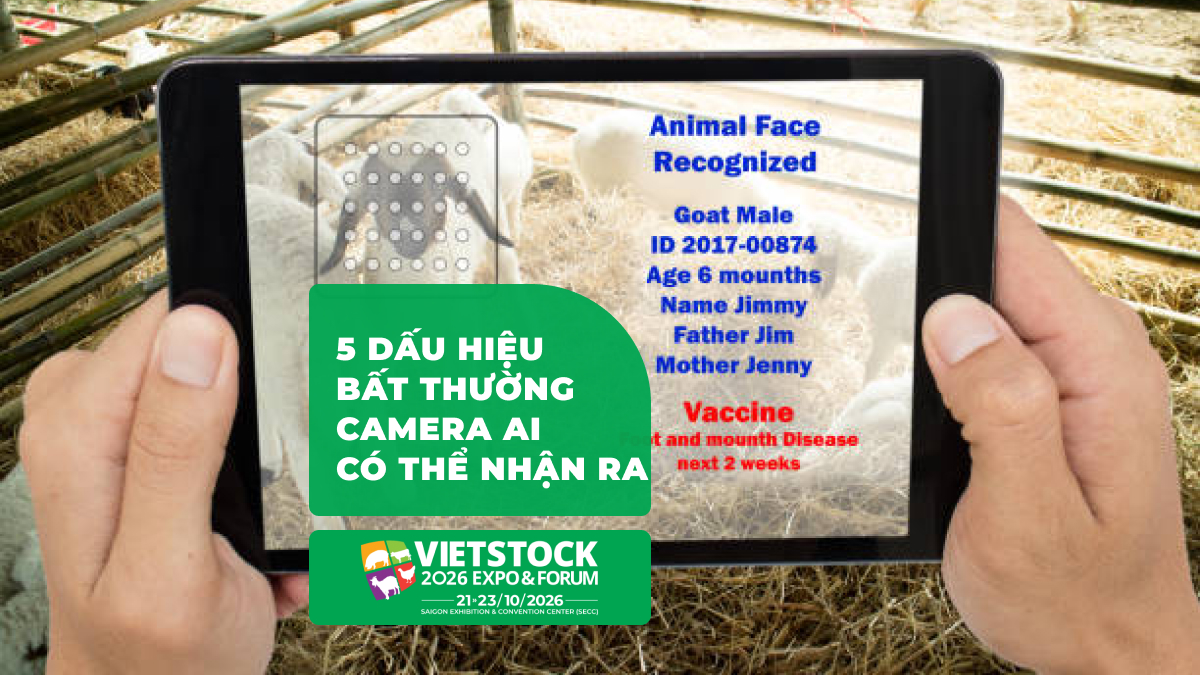 Computer Vision phát hiện bệnh vật nuôi trong trang trại