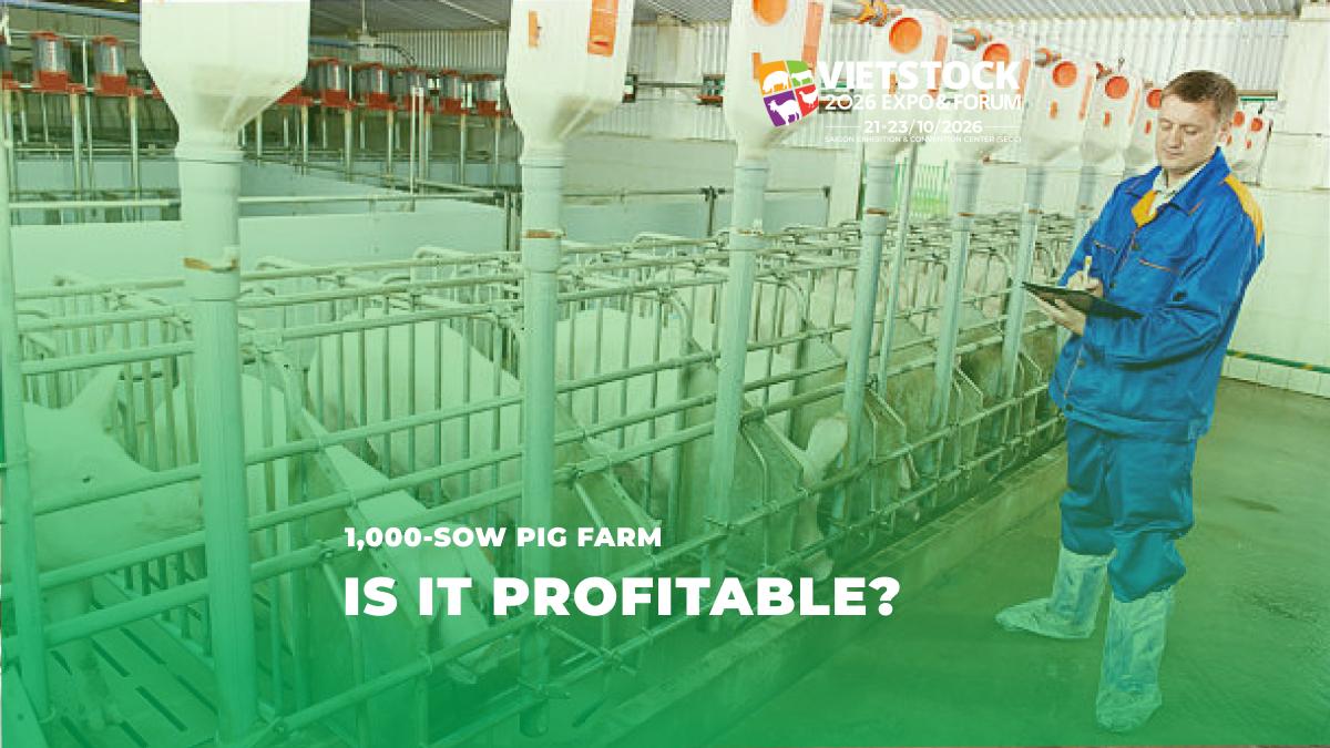 Pig Farm Financial Analysis: DCF, IRR and Risk Scenarios