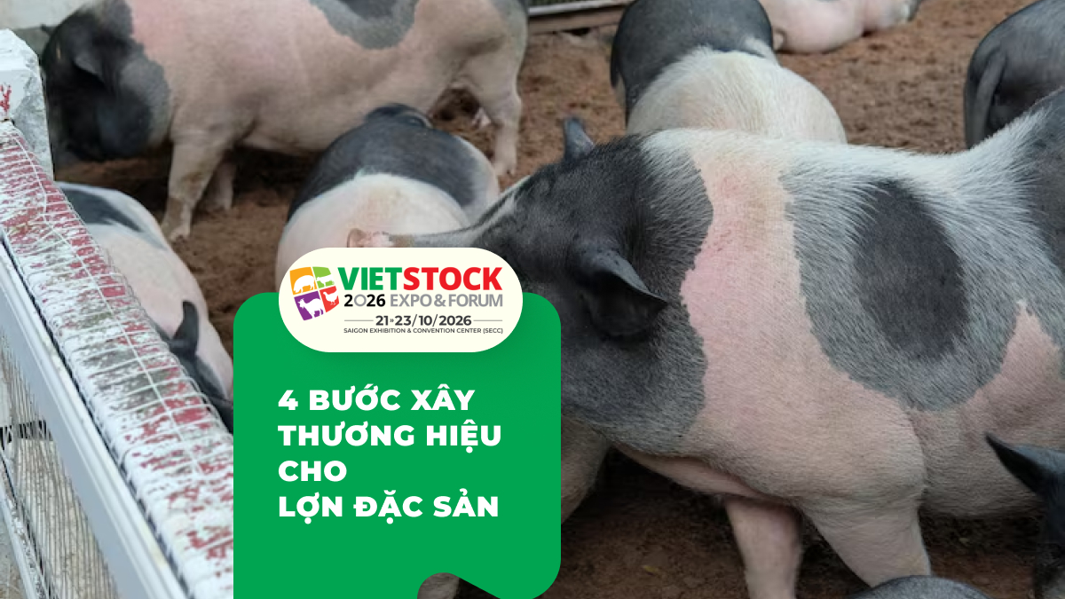 Lợn Bản Địa Đặc Sản: Xây Dựng Thương Hiệu Cao Cấp