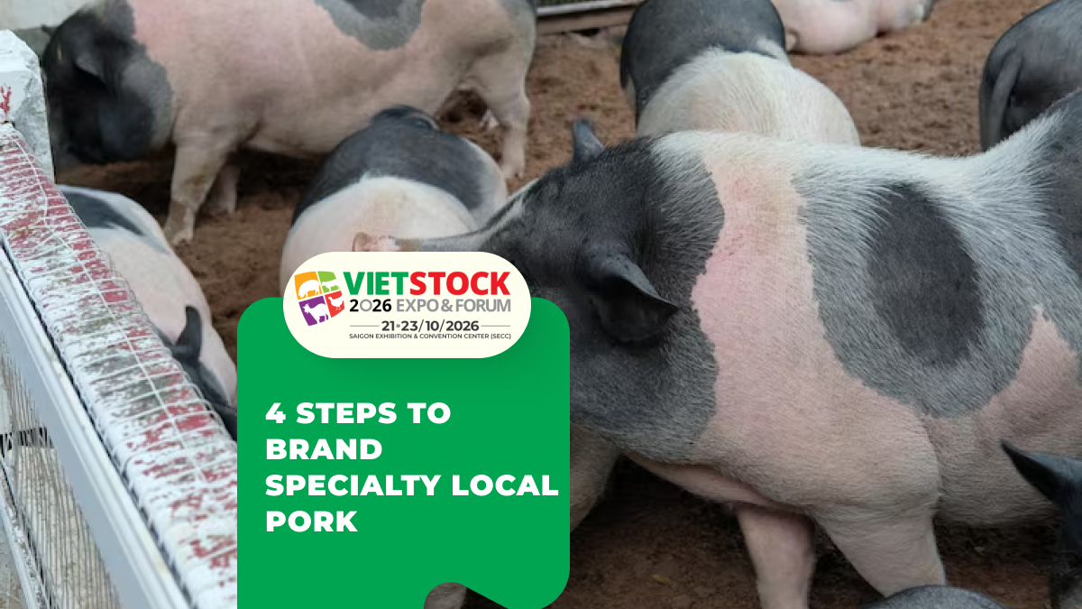 Native Specialty Pigs: Brand and Premium Market Strategy