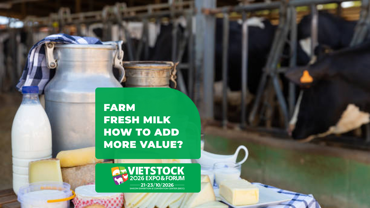 On-Farm Dairy Processing: Cheese, Butter & Yogurt Guide