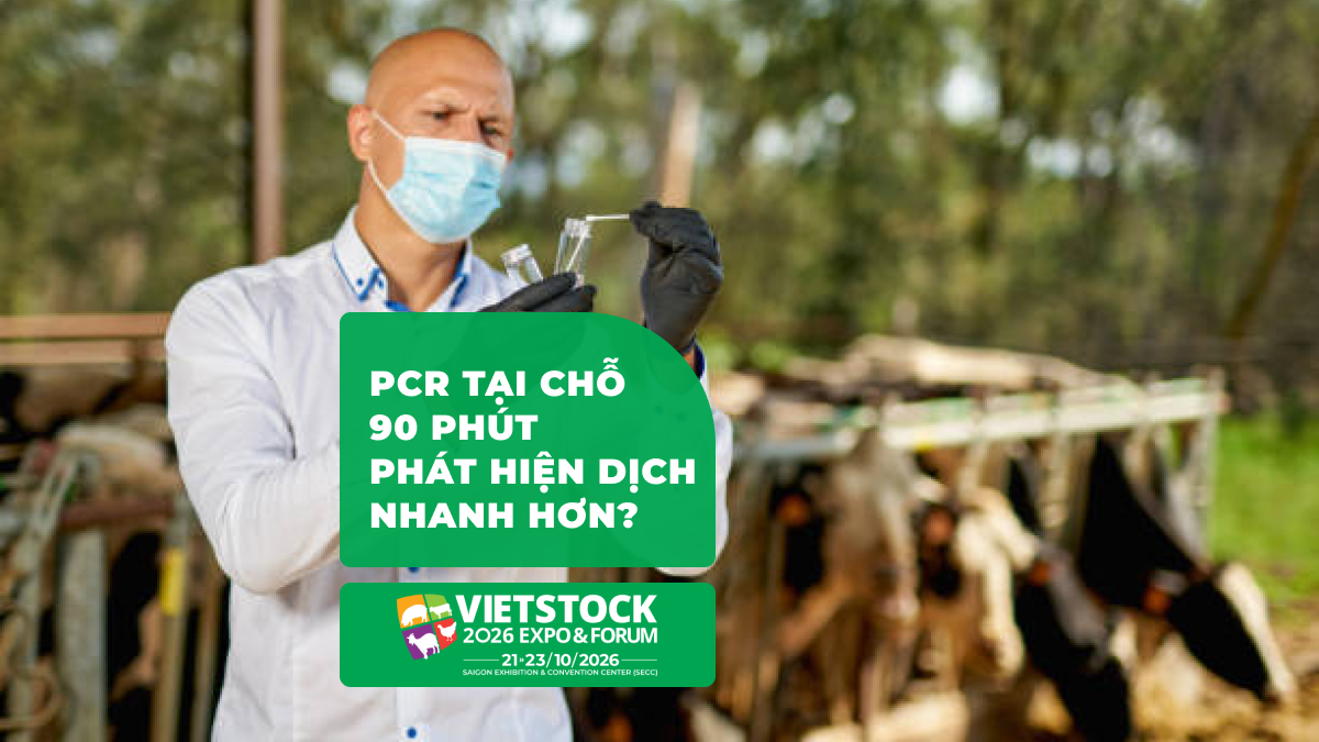 PCR tại chỗ trong chăn nuôi: Thiết bị, độ chính xác và chi phí